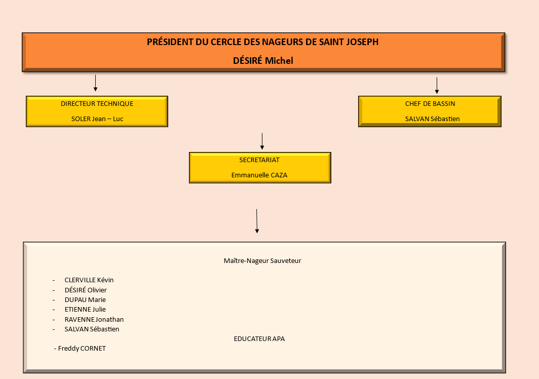 Organigramme du CNSJ